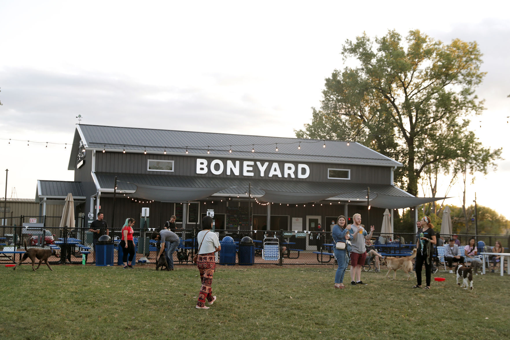 The Boneyard